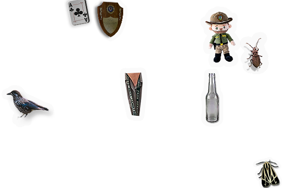 Composite image 4
