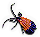 Net Winged Beetle