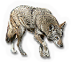 Red Wolf
