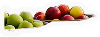 Apples
