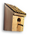 Bird Box