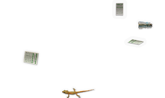 Composite image 4