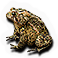 Reptileamphibian