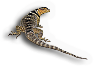 Reptileamphibian