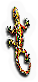 Reptileamphibian