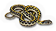 Reptileamphibian