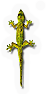 Reptileamphibian