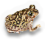 Reptileamphibian