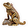 Reptileamphibian