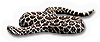 Reptileamphibian