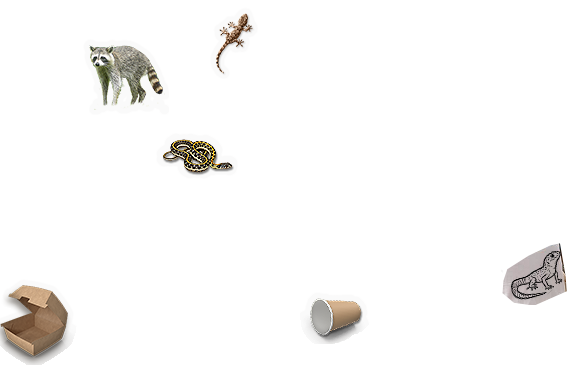 Composite image 6