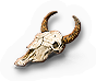 Cow Skull