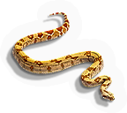 Snake