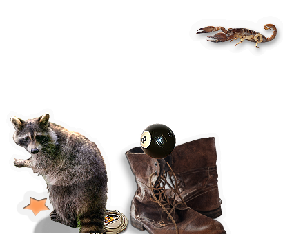 Composite image 6