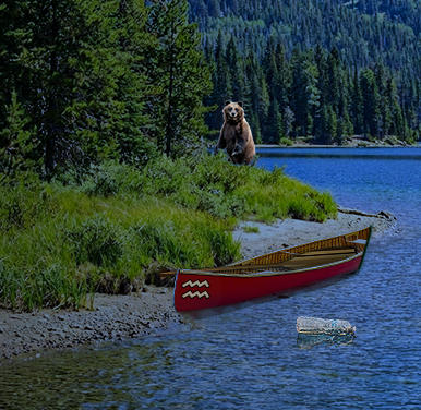 Composite image 5