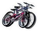 INS-bikes