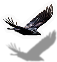 Crow