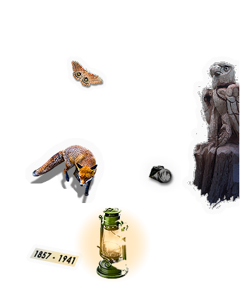 Composite image 6