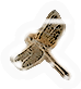 Insect