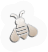 Insect