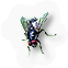 Insect
