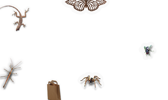 Composite image 4
