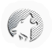 Mammal