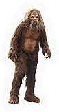 Mammal