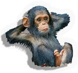 Mammal