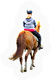 Mammal