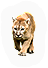 Mammal