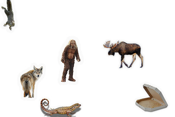 Composite image 4