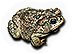 Great Plains Toad