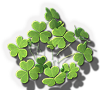 Clover Patch