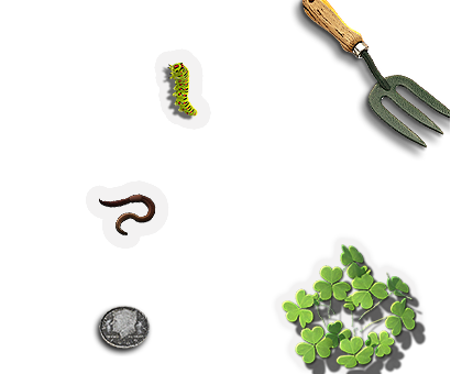 Composite image 6