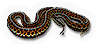 West Coast Garter Snake
