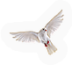 Dove