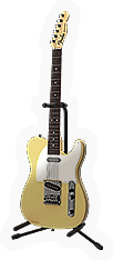 Electric Guitar