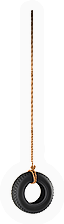 Tire Swing