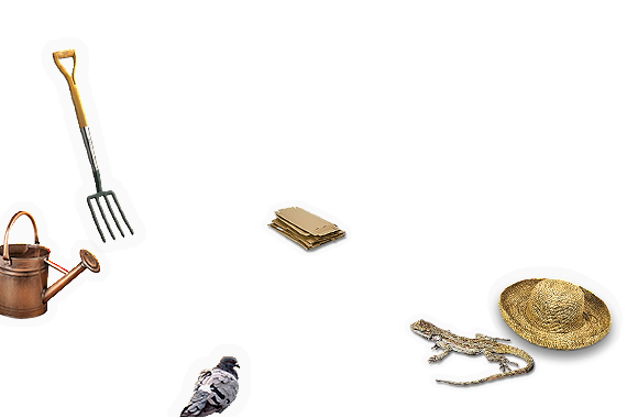 Composite image 6