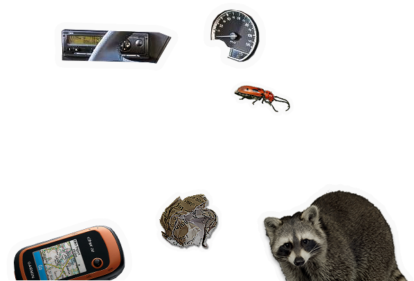 Composite image 4