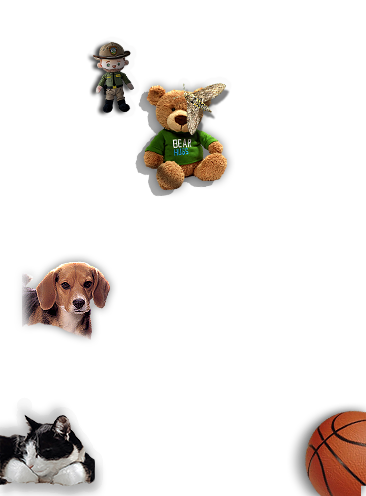 Composite image 6