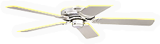 Ceiling Fan