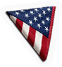 INS-flag2