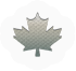 Maple Leaf