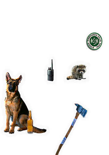 Composite image 4